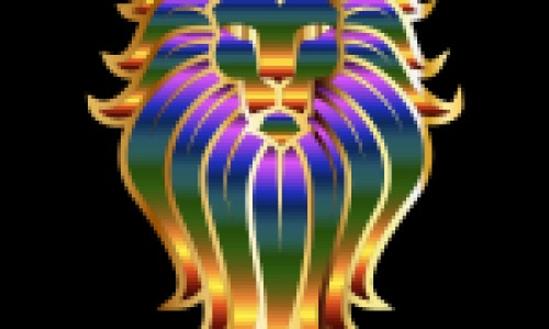 水鸭的功效与作用及营养价值-水鸭的功效与作用及做法,中国水鸭的功效与作用网站